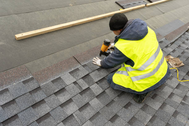 Best Asphalt Shingles Roofing  in Dexter, GA