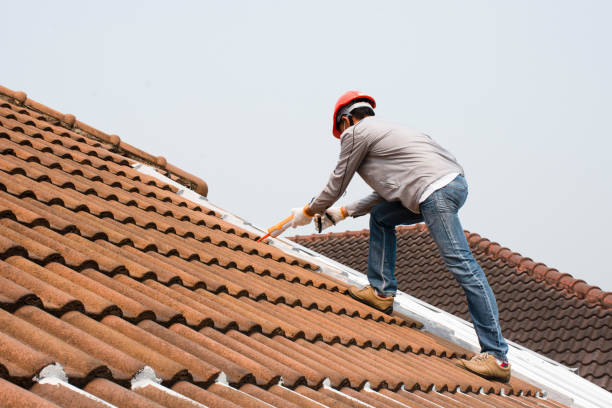  Dexter, GA Roofing services Pros